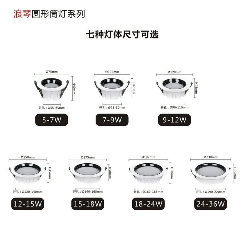 T331DM浪琴21.jpg