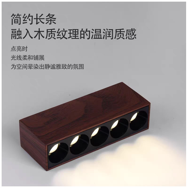 S5038YT艺佳 长条筒射灯29.jpg