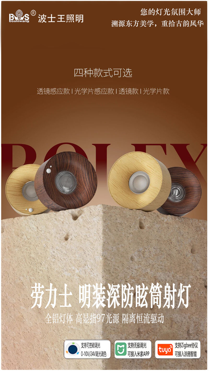 S5054YH劳力士 明装射灯13.jpg