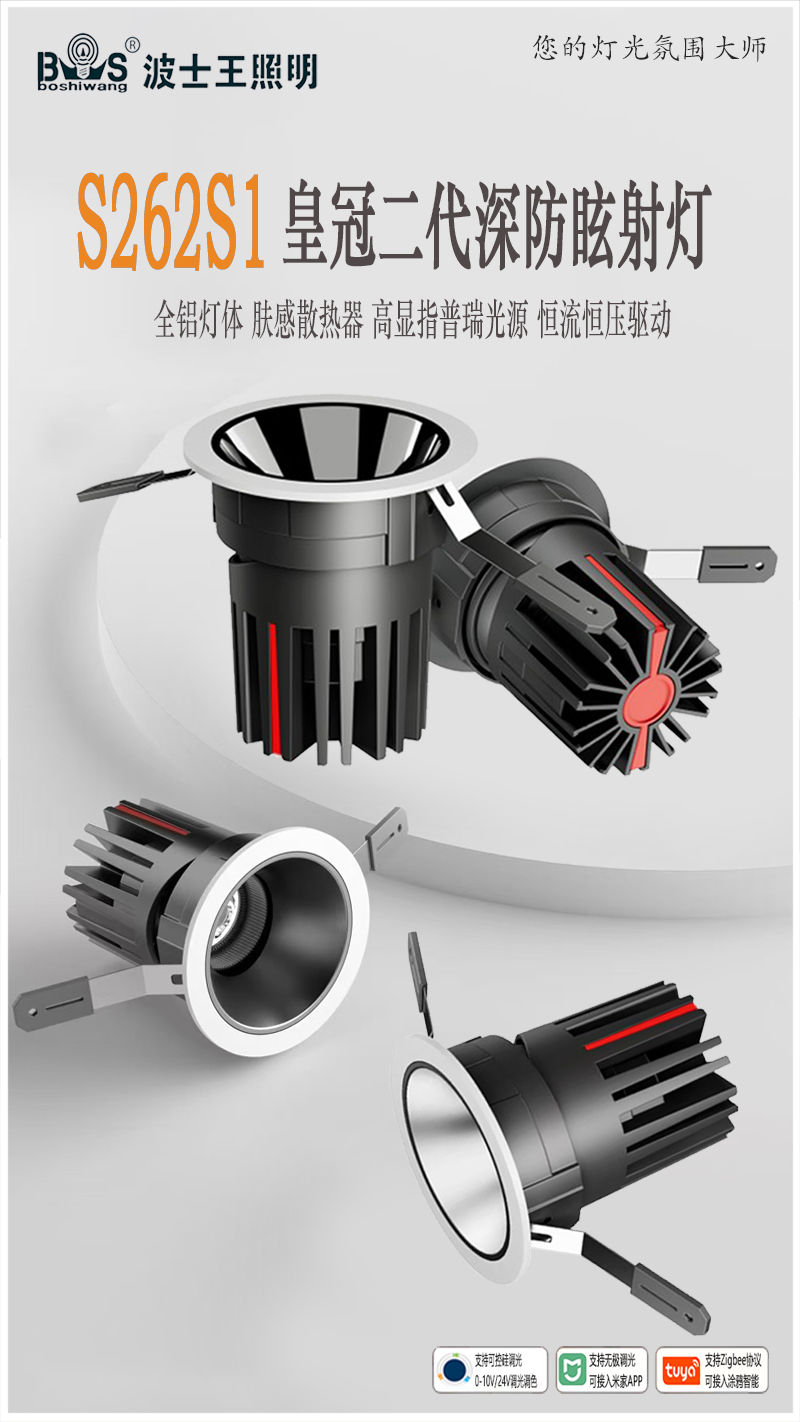 S262S1皇冠二代 射灯71.jpg