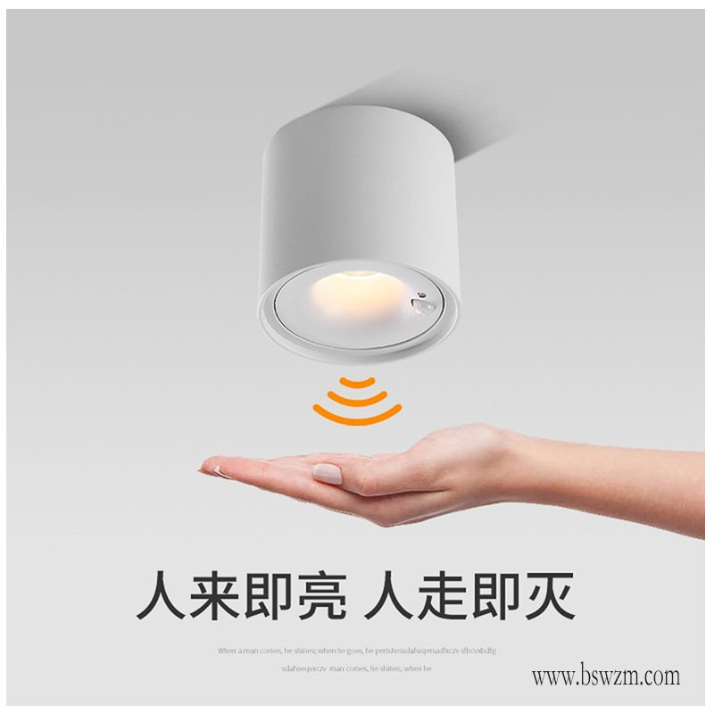 S510S3麦德龙 感应灯64.jpg