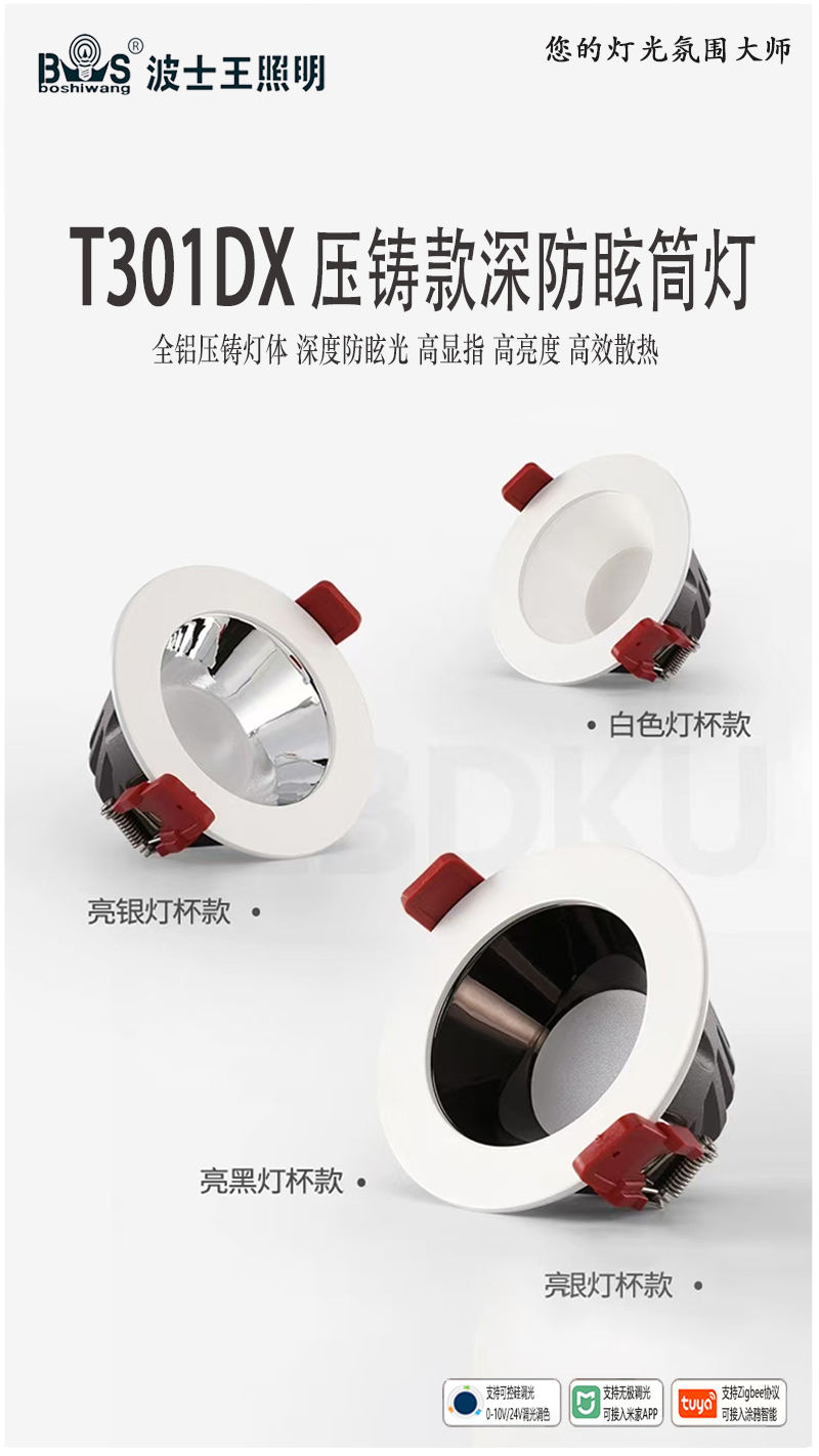 T301M1压铸 筒灯.jpg