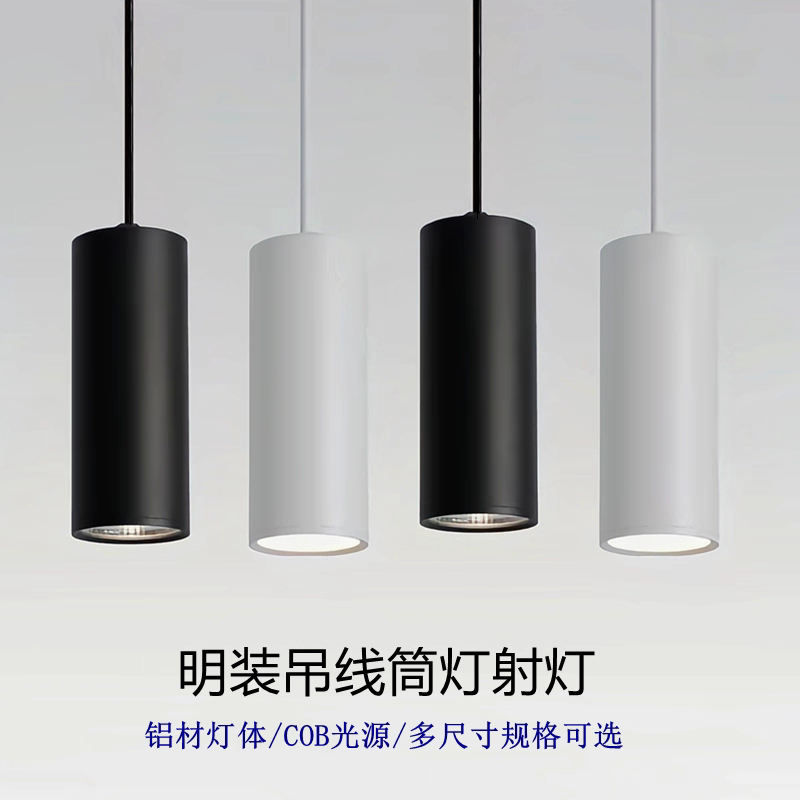 S5848GS圆形直筒 吊线筒射灯 (3).jpg