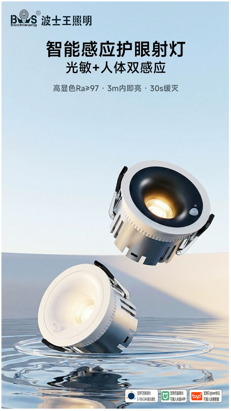 S526GM巡洋舰 感应射灯11.jpg