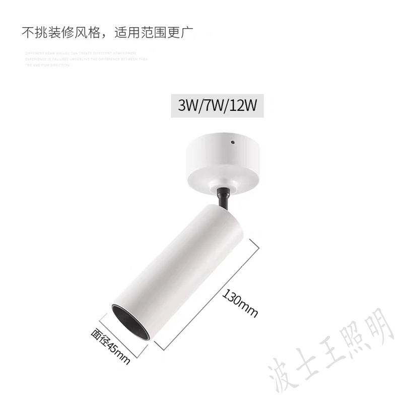 S5078KF怡美 明装射灯 (3).jpg