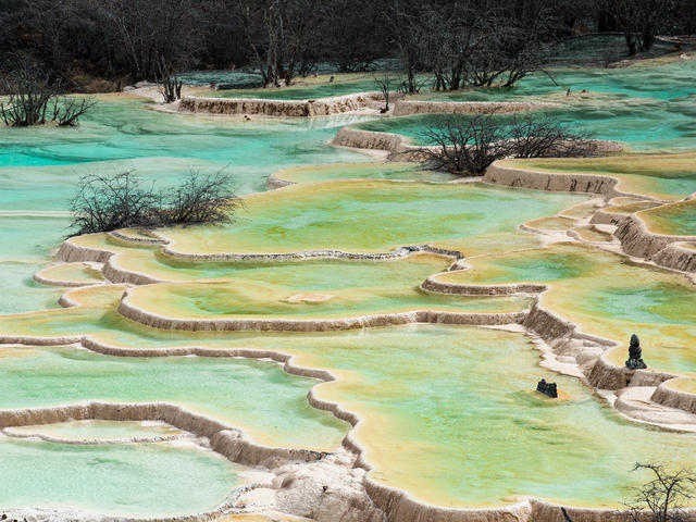 成都九寨沟黄龙熊猫基地6日游