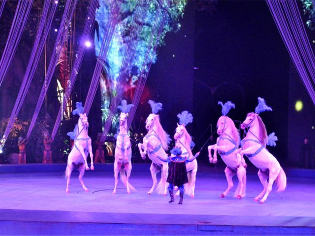 广州长隆野生动物园-珠海长隆海洋王国双飞半自助4日游