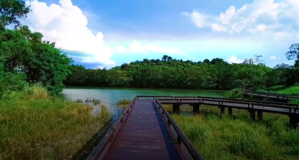 不听世俗的耳语，只看自己喜欢的风景——萨维尔秘印度假