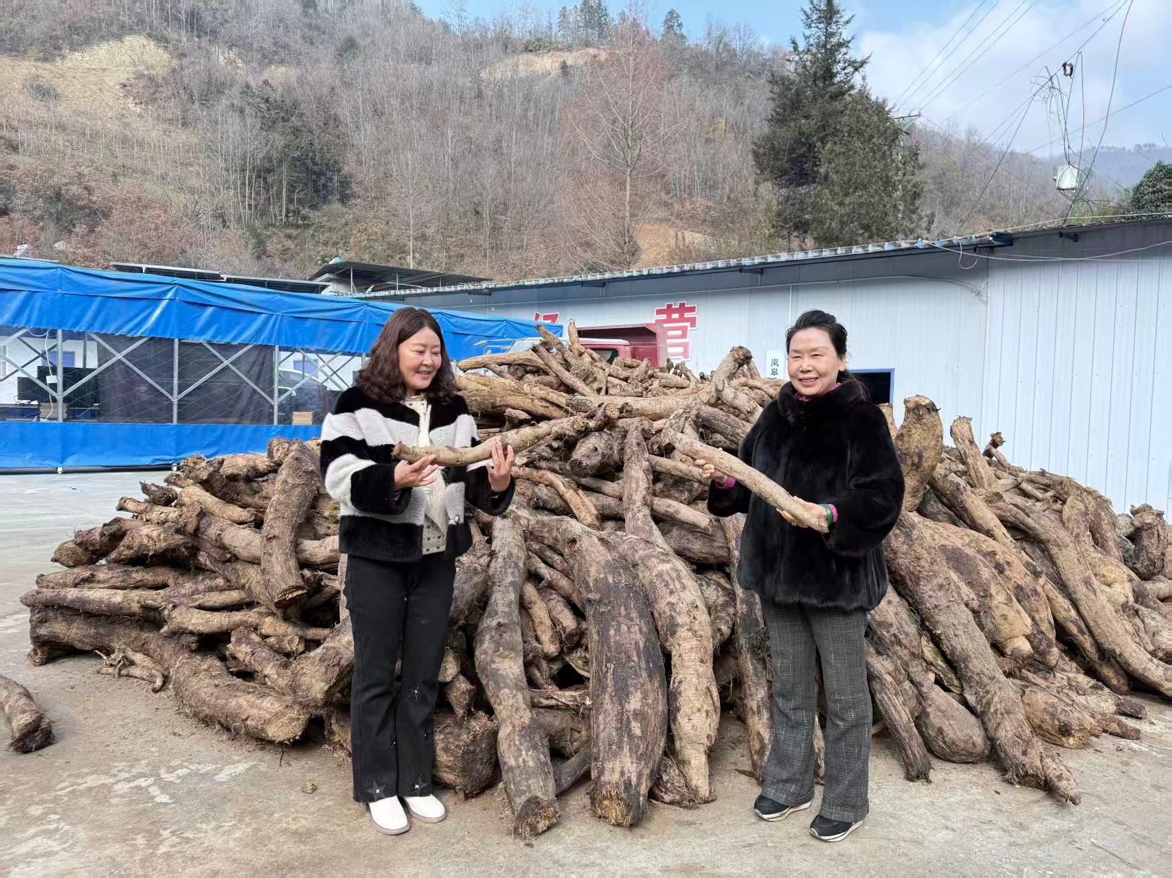 20260108163119_21623.jpg 20260108163119_21623.jpg