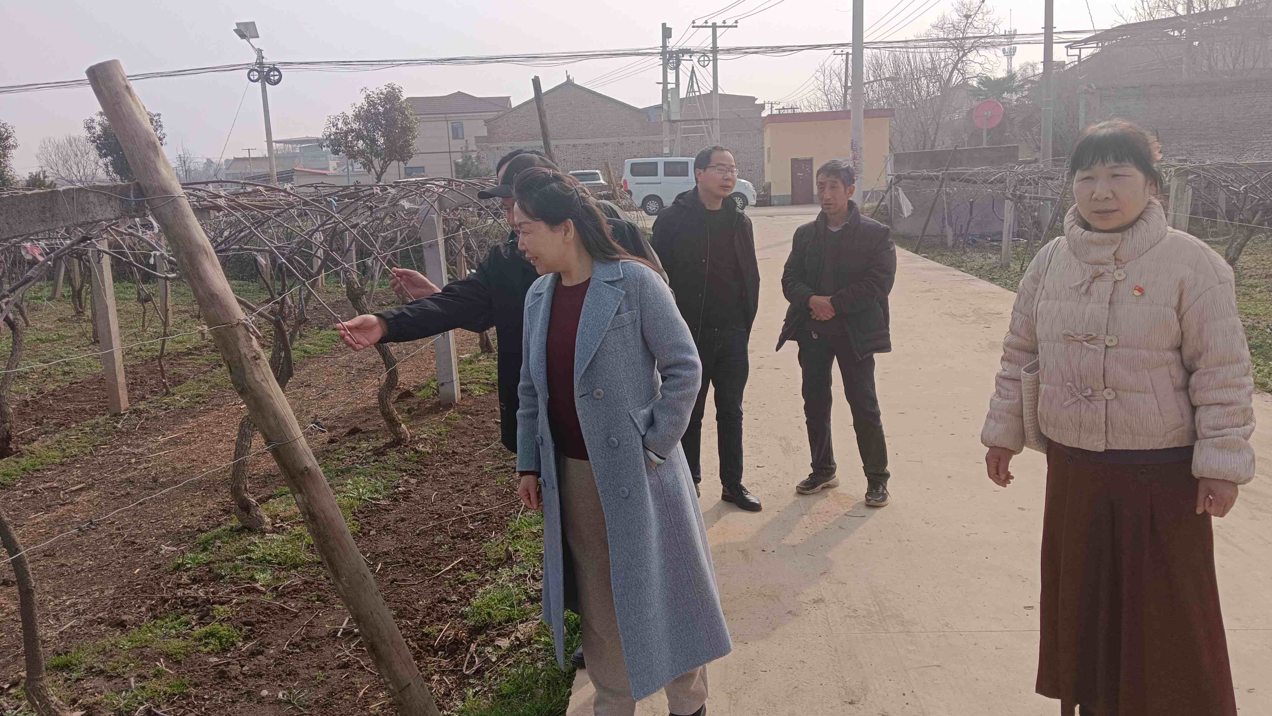 20260305101232_94418.jpg 20260305101232_94418.jpg