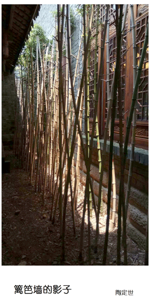 2019上期摄影班学员陶定世作品2