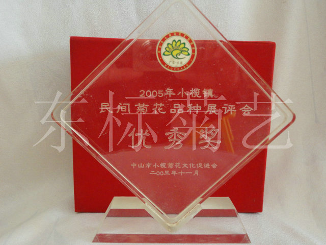 2005年中山小榄菊花艺术节