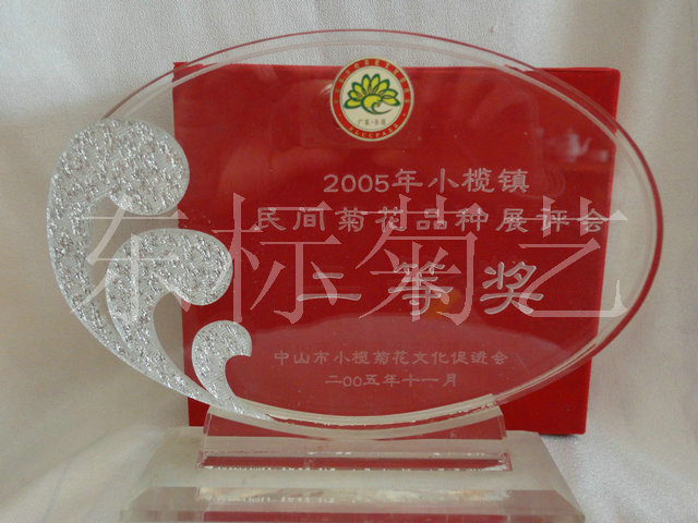 2005年中山小榄菊花艺术节