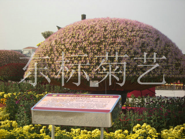 Cloud Zoom small image