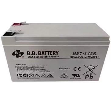 20251103074742_41448.jpg BB.jpg