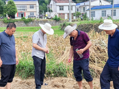 20240717163626_17289.png 173.png