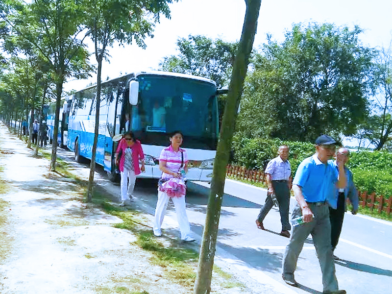 旅游商務(wù)包車(chē)案例展示