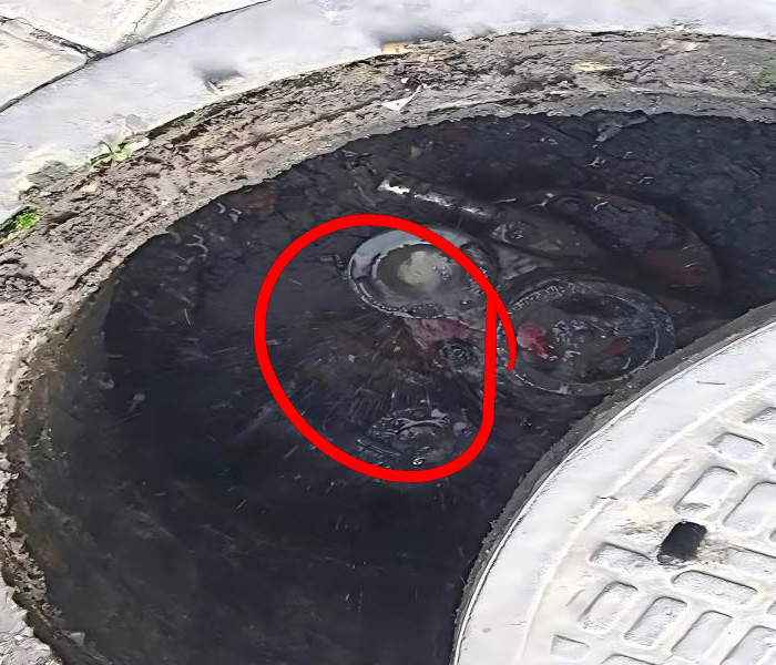 20250820103540_22307.jpg 微信图片_20210705170642(1).jpg