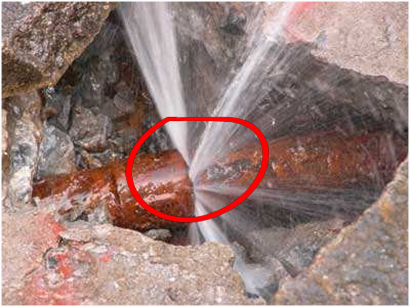 20250820104035_77353.jpg a35eea93689fe1ae298b67e28d0335ef_t01ae4cc4b3d010c96c.jpg