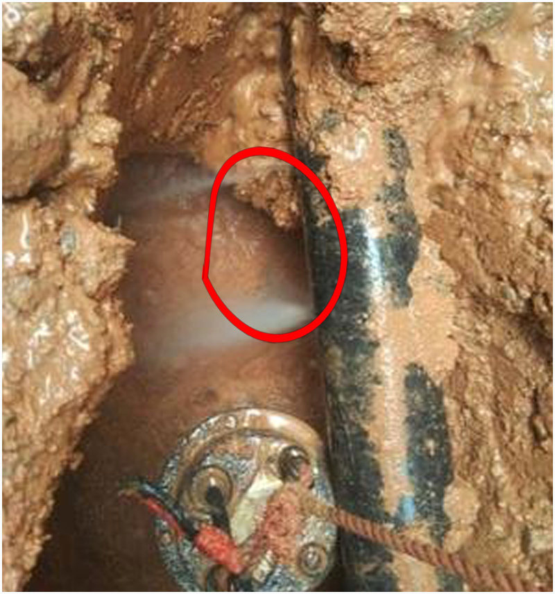 20250820104155_70555.jpg a9212e0641e9f509ccd768717efb3619_t012e42f0de140b34a7.jpg