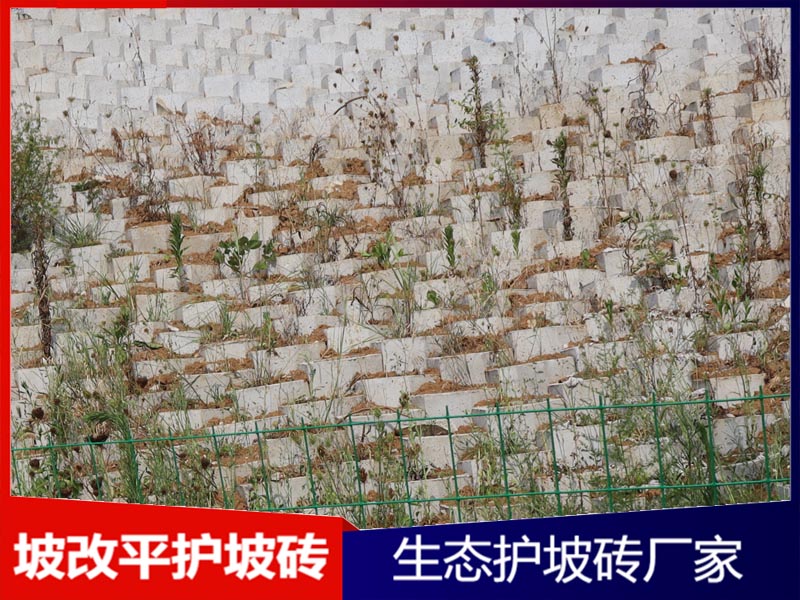 坡改平护坡砖工程案例