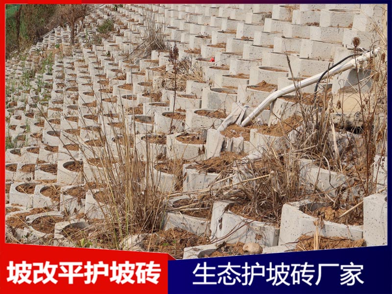 高速公路边坡坡改平护坡砖工程案例
