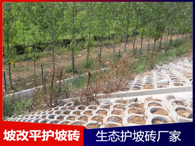 坡改平护坡砌块工程案例