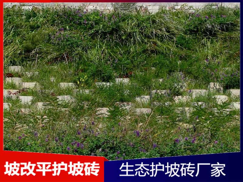 坡改平护坡砖案例展示
