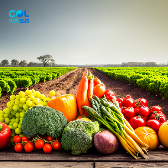 20240612161452_15336.png image.png