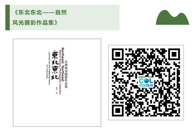 20240618111156_53737.png image.png