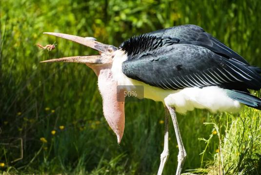 20240717162050_13042.png image.png