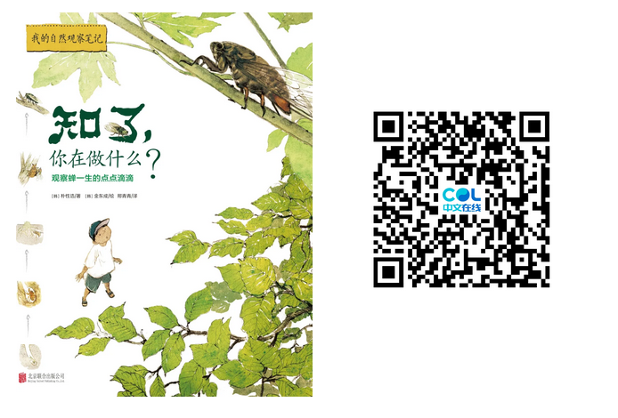 20240907102843_15787.png 图片.png