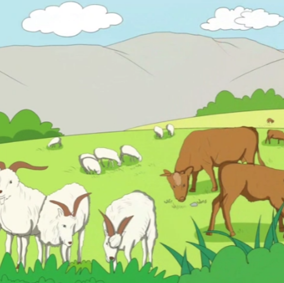 20241217155751_66774.png image.png