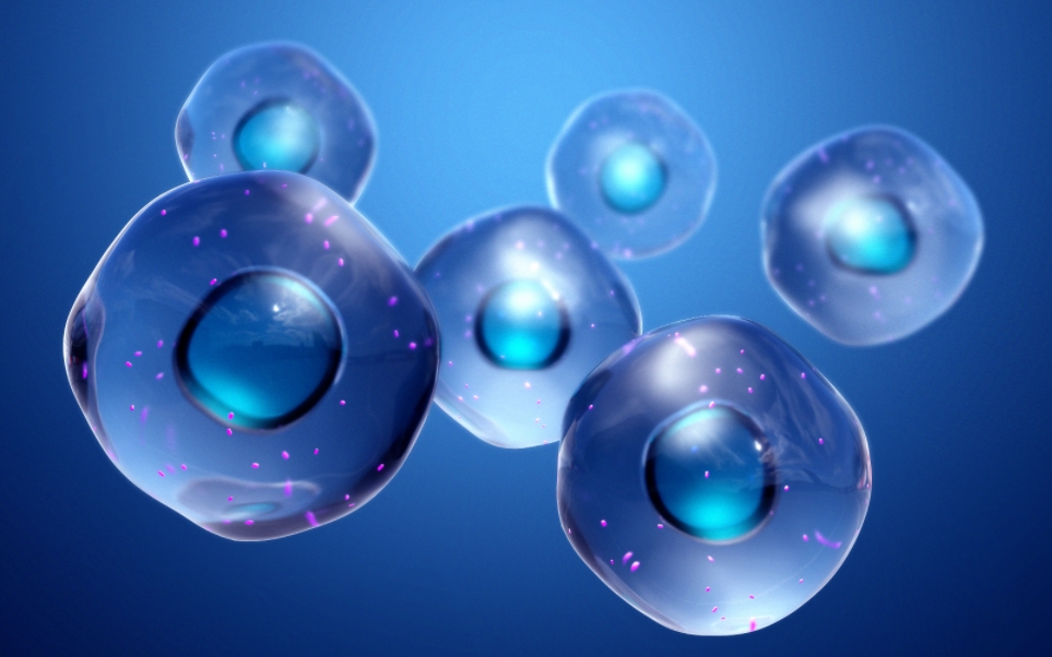 澳健源·健管中心