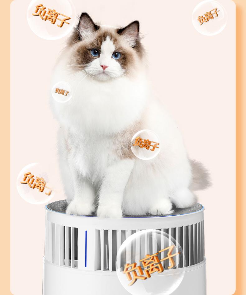 20250926153551_74002.jpg (10).jpg