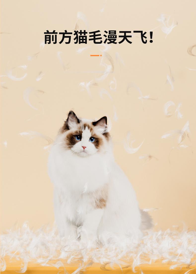 20250926153833_77218.jpg (21).jpg