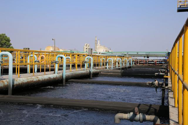 20220920094318_95034.jpg 3.jpg