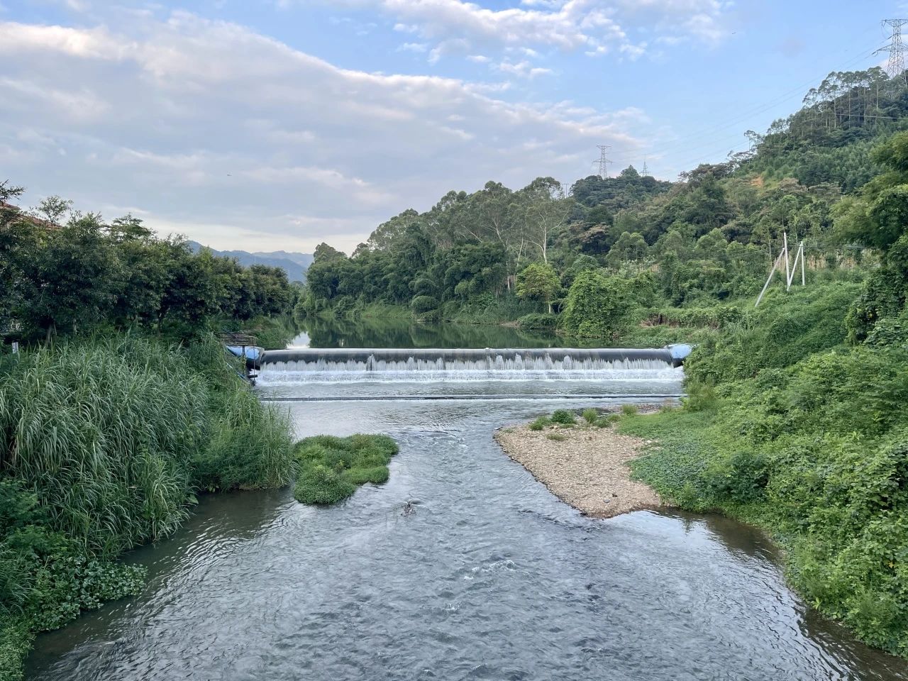 剑道,东莞道场,剑道,东莞道馆