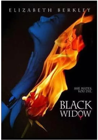 《黑寡妇 Black Widow 2008》美国犯罪悬疑片，国配