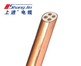 Cloud Zoom small image