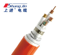 Cloud Zoom small image