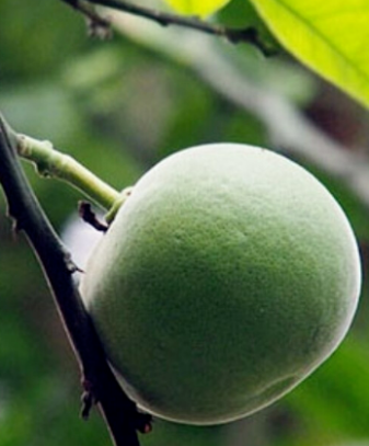 20230312135912_83017.png image.png