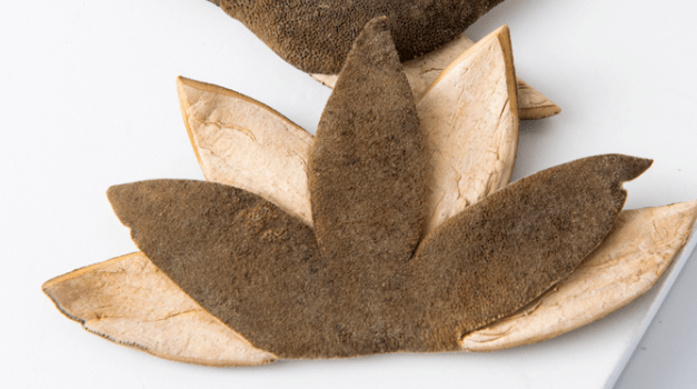 20230505161426_45382.png image.png