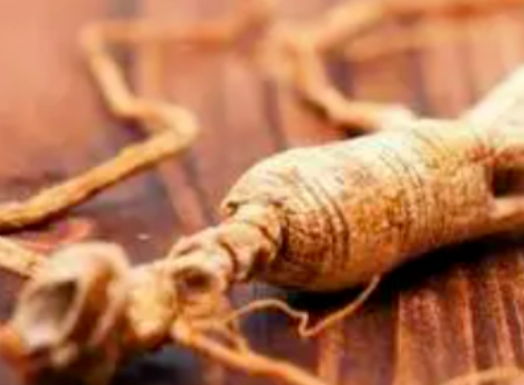 20231127161233_92466.png 1701072747(1).png