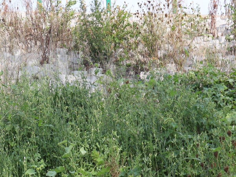 20250807170329_15909.jpg 47.jpg