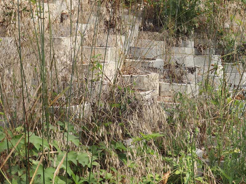 20250807174207_11316.jpg IMG_79.jpg