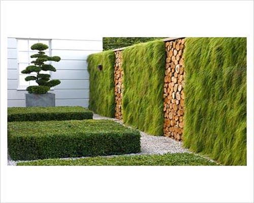 琼海碧桂园植物墙垂直绿化公司