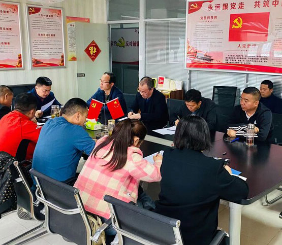 省灯饰商会党支部学习贯彻党的二十大精神