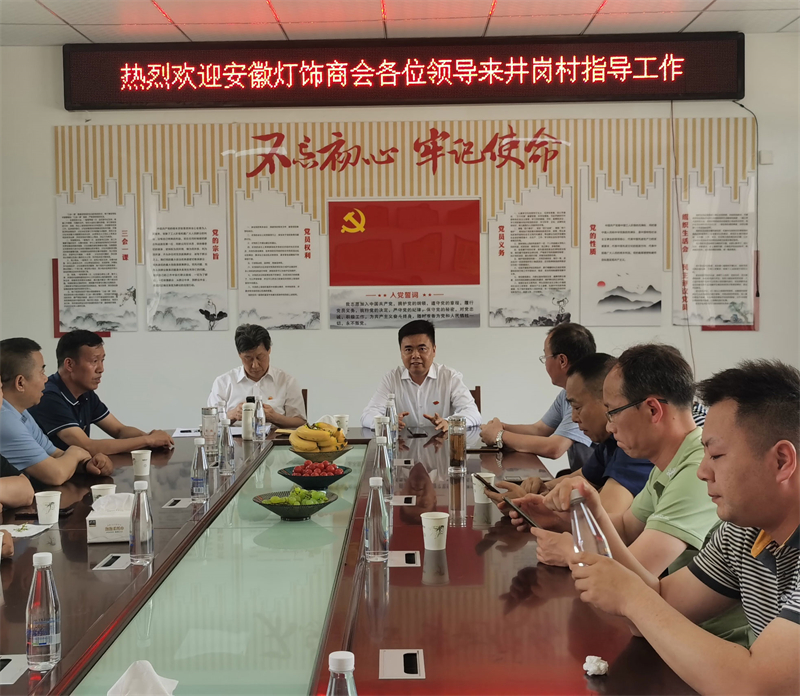 扎实推进主题教育 实地开展结对帮扶 ------安徽省灯饰商会党支部与井岗村党总支开展党建结对以及扶贫送温暖活动