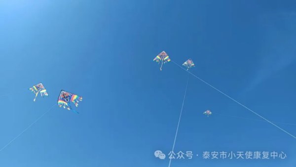 20250403091753_12031.png d980fc0daf6a87c8dc6bdcfb17a7d06.png